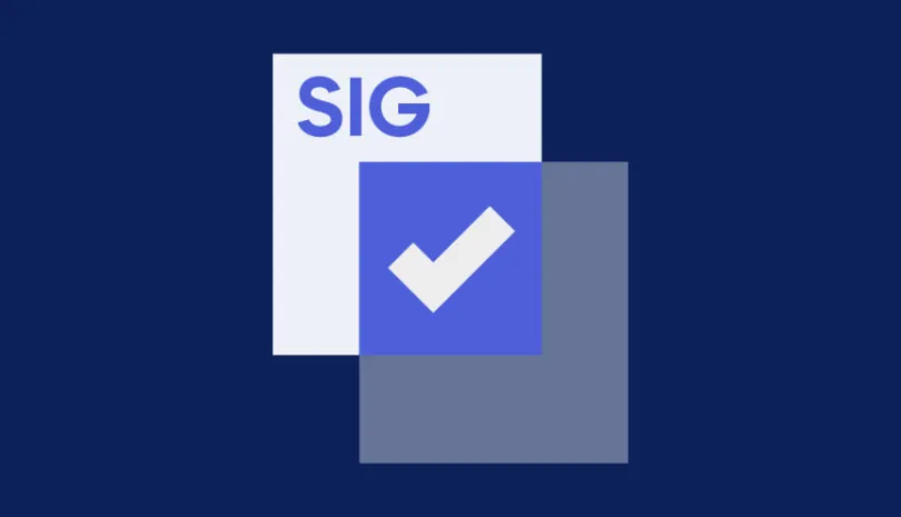 SIG Questionnaires