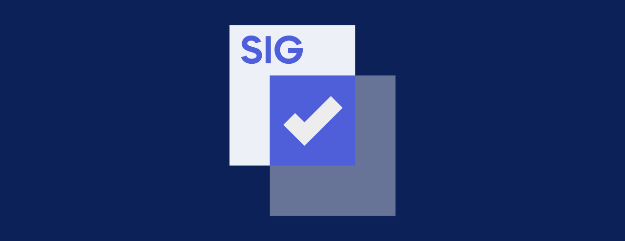 SIG Questionnaires